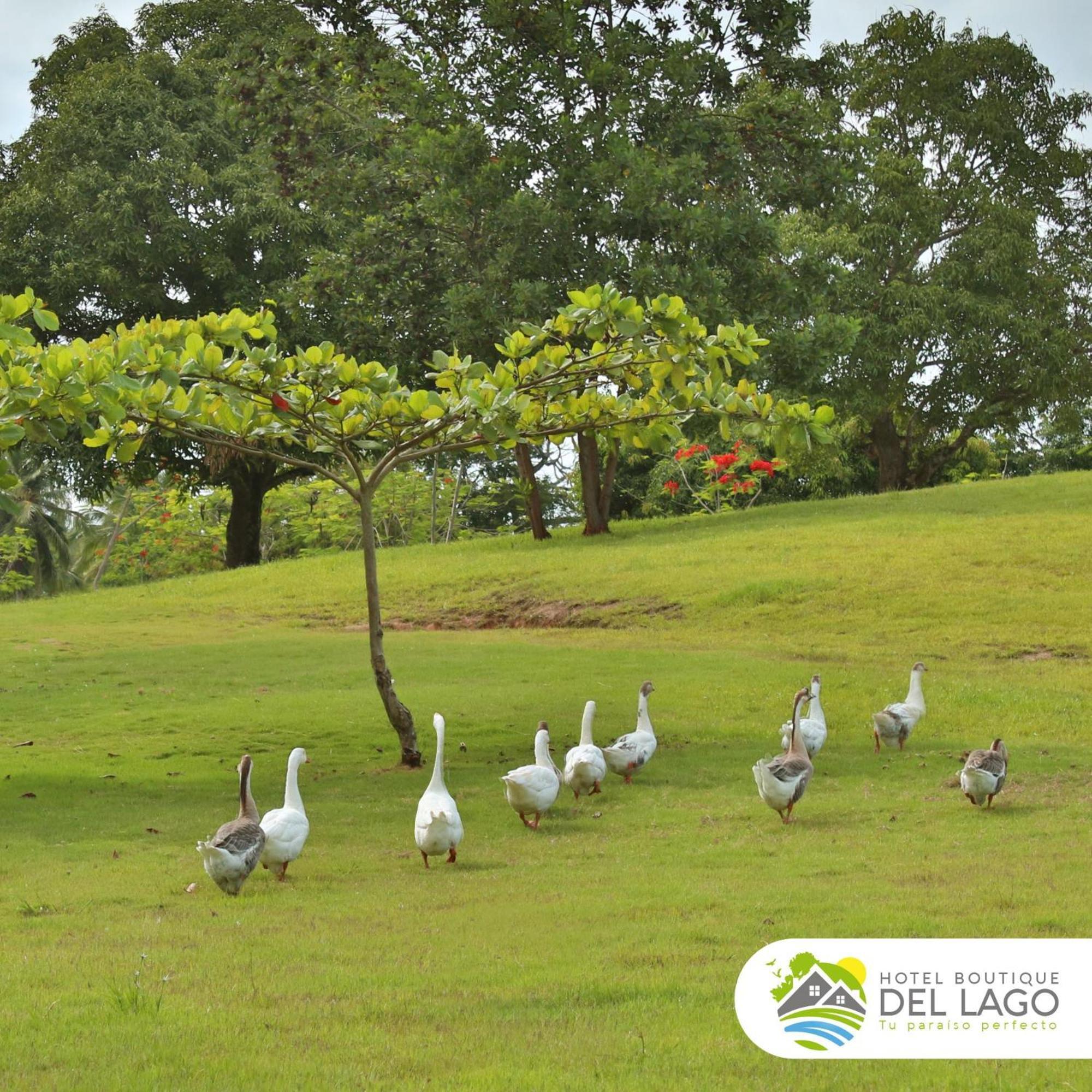 Hotel Boutique Del Lago Nagua Luaran gambar